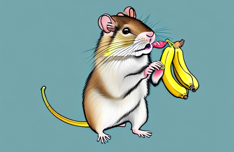 A gerbil eating a banana