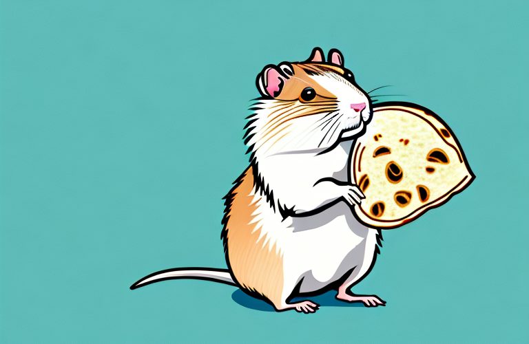A gerbil holding a tortilla chip